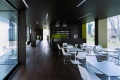 Ginkgo Lounge, Tiago Rosado, vir: archdaily.com