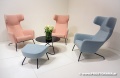 Softline, Havana