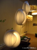 The Onion Lamp