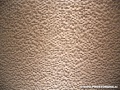 Mozaik Phenomenon, Mutina