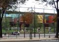 Musée du Quai Branly, pogled s ceste